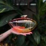 Clutch Paris Transparente