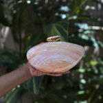 Clutch Oval Paris Marmorizda Alaranjada